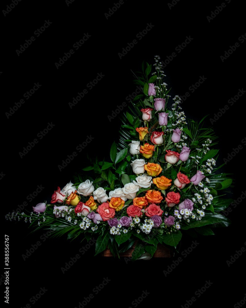 Obraz premium Florwers