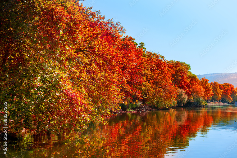 autumn colors over a lake