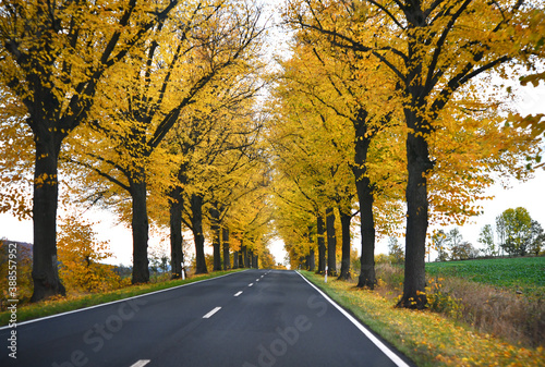 deutsche Bundesstrasse im Herbst