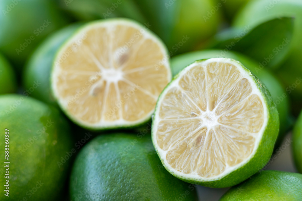 lime lime