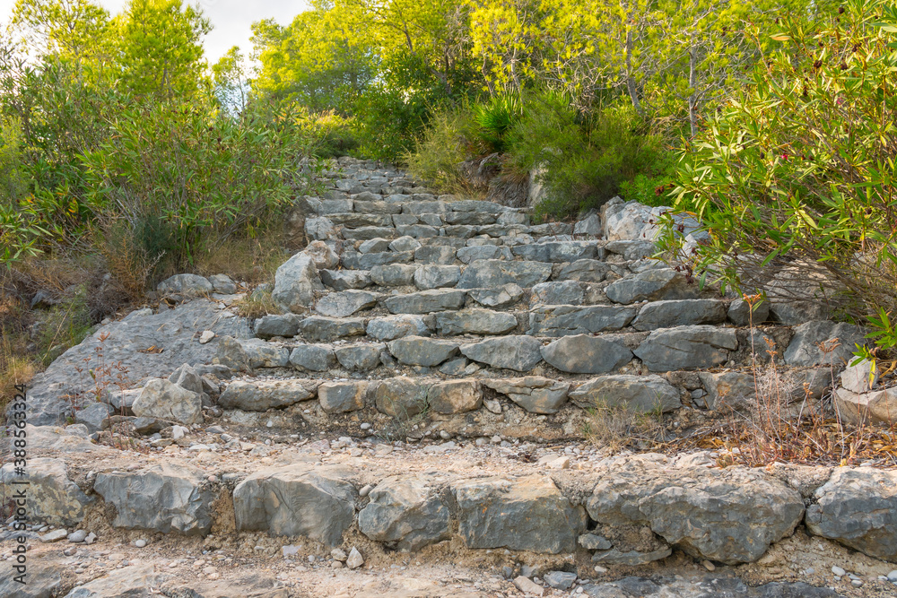 Beautiful stone stairs going up through the forest. Perfect pathway for hiking. Beautiful stone stairs going up through the forest. Perfect pathway for hiking.