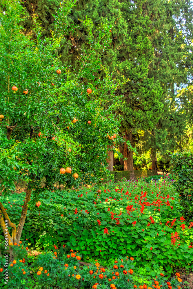 Alhambra Gardens, Granada, HDR Image