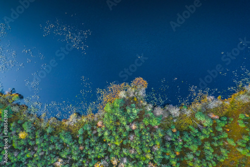 Fototapeta Naklejka Na Ścianę i Meble -  Aerial view of blue lake and green forests
