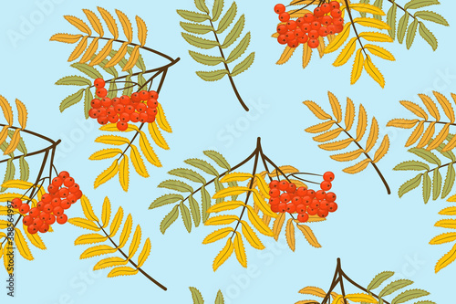 seamless pattern with autumn leaves
