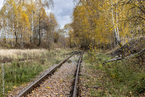 requested railroad tracks in the forest