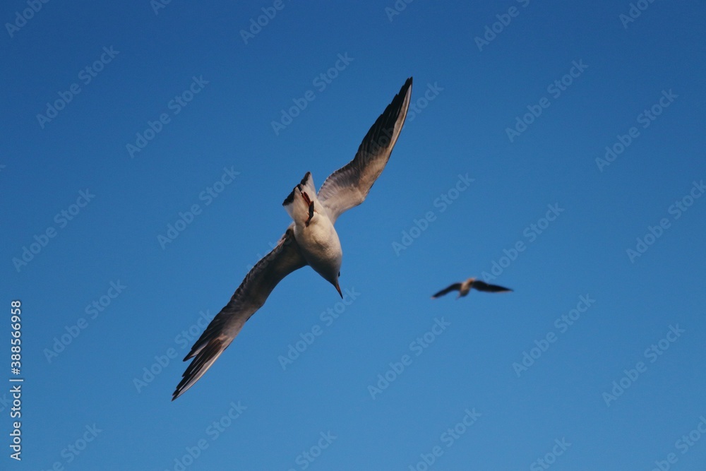 Fototapeta premium Processed with VSCO with ka1 preset