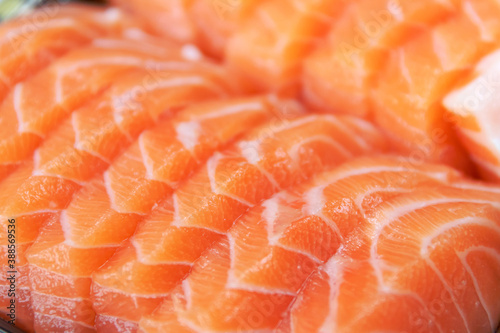 Close up fresh salmon and toro sashimi; texture and background.