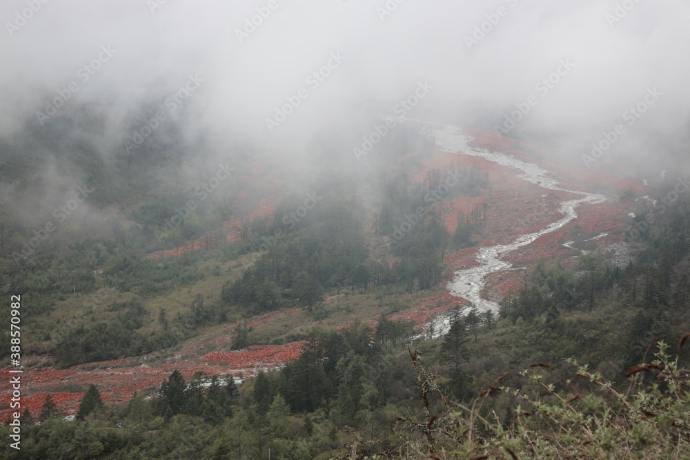 View of Red stone beach (Chinese: Hongshitan) with river under misty fog at Hailuogou Glacier Park in Garze Tibetan Autonomous Prefecture, Sichuan, China. The red color is the color of alga on rock.