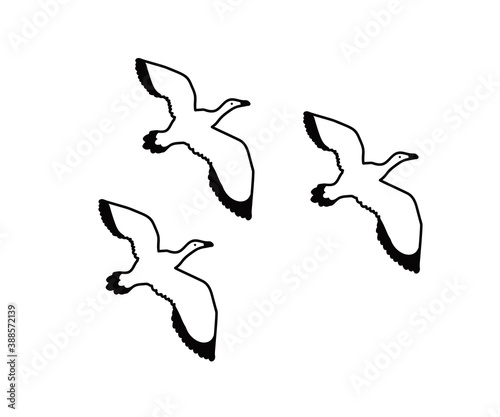 A flock of birds on a white background. Sketch. Vector illustration.