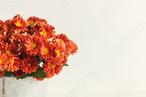 Beautiful autumn bouquet of a chrysanthemum flowers in a vintage pot on a white background.