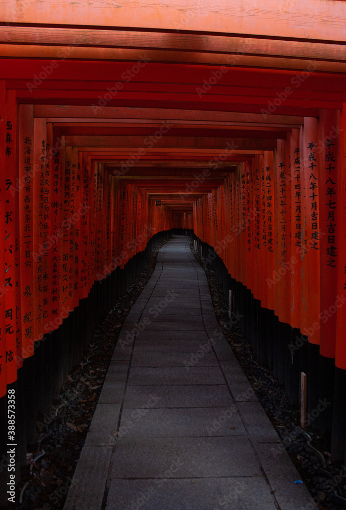 Fototapeta premium A pathwalk lined with orange Torii gates at Fushimi Inari Shrine in Kyoto in Japan