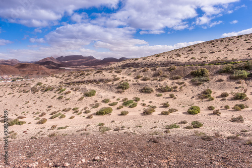 Vulcanic based desert landscape at Jandia around La Pared