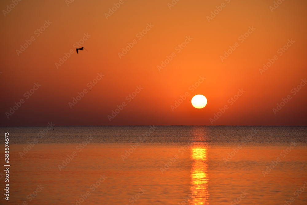 The morning Sun painted the sky and the sea orange The morning Sun painted the sky and the sea orange