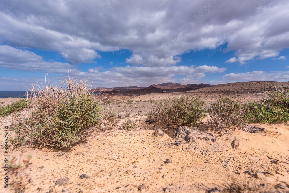 Vulcanic based desert landscape at Jandia around La Pared Vulcanic based desert landscape at Jandia around La Pared