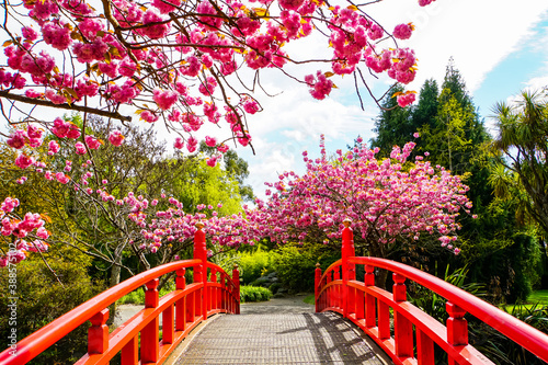 Japanischer Garten Oamaru Neuseeland