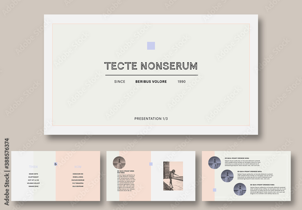 Minimal Pitch Deck Stock Template | Adobe Stock