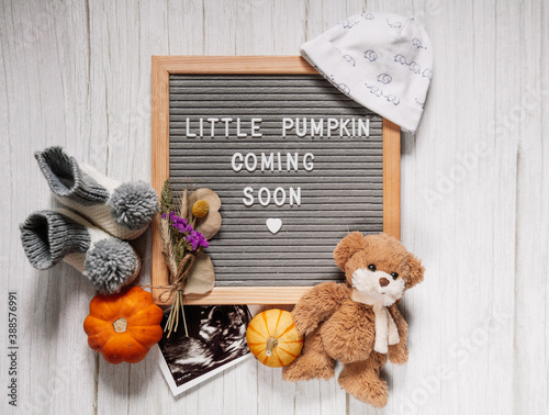 Little pumpkin coming soon sign. Baby announcement sign. Coming soon concept.  Autumn pregnancy.