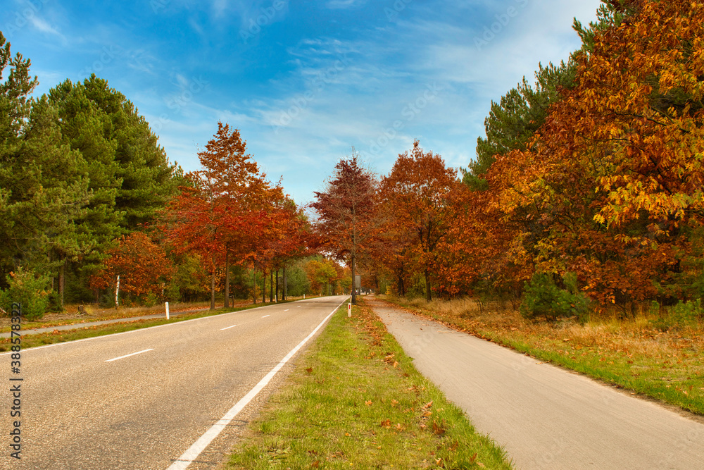 Autumn colorfull scenery from a road and trees, photo made on 28 october 2020 in Weert the Netherlands Autumn colorfull scenery from a road and trees, photo made on 28 october 2020 in Weert the Netherlands