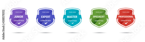 Certified badge logo design for company training badge. Certificates to determine based on criteria. Standard verified colorful modern vector illustration.