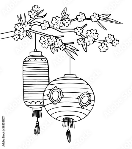 Two Chinese paper lanterns hanging on the tree brunch with blooming flowers. Hand drawn vector sketch illustration