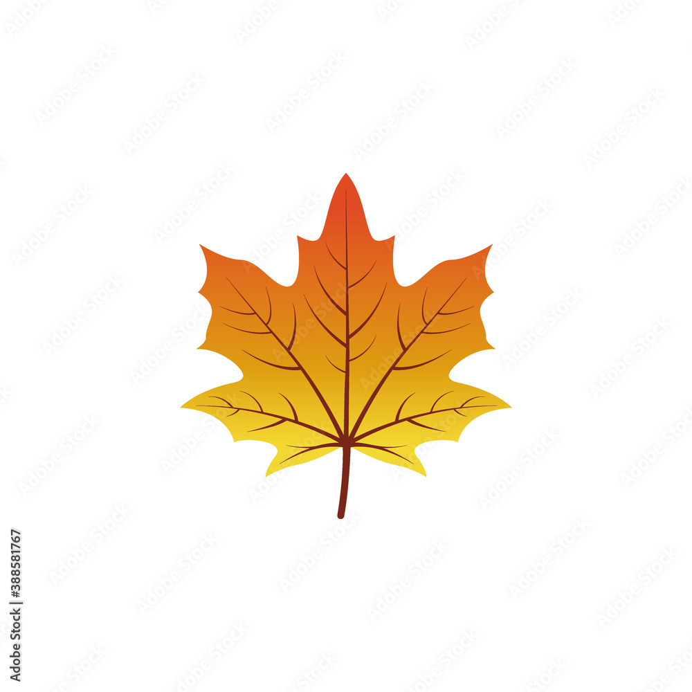 Obraz premium Maple leaf icon vector illustration