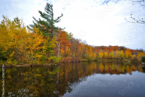 Fototapeta Naklejka Na Ścianę i Meble -  Reflection of autumn leaf color in the pond at the public park