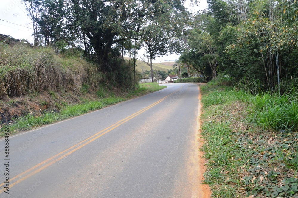 road in the forest road in the forest