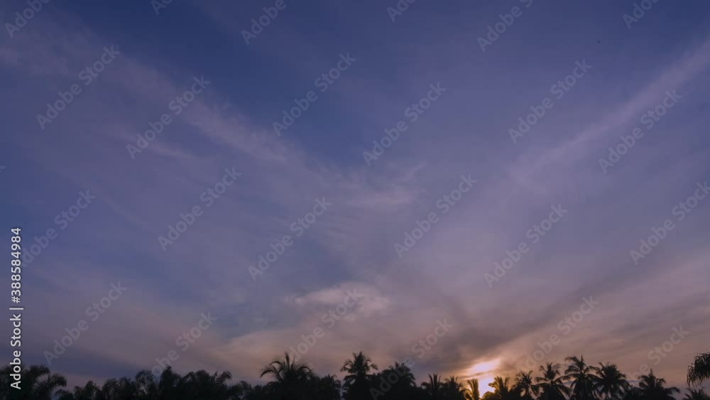 Sunrise over coconut trees, dawn light with wispy cloud slow moving in blue sky space. Nature background screen. 4k timelapse footage. Sunrise over coconut trees, dawn light with wispy cloud slow moving in blue sky space. Nature background screen. 4k timelapse footage.