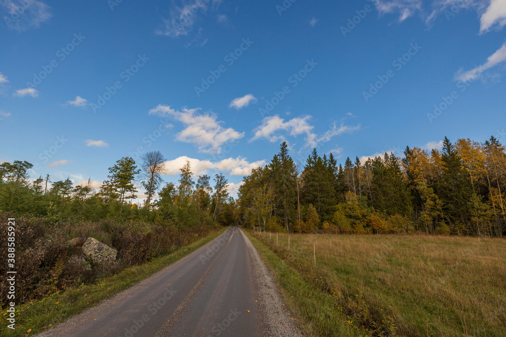 Amazing beauty on road in autumn forest on blue sky with white clouds. Beautiful autumn nature backgrounds.