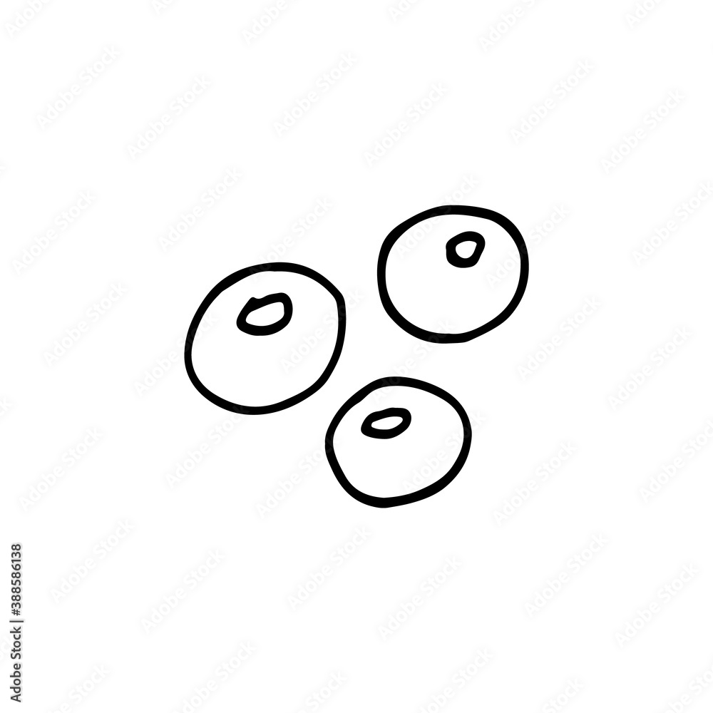 Doodle image of blueberries. Vector image of a fruit. Hand-drawn image for print, web, textile. Doodle image of blueberries. Vector image of a fruit. Hand-drawn image for print, web, textile.