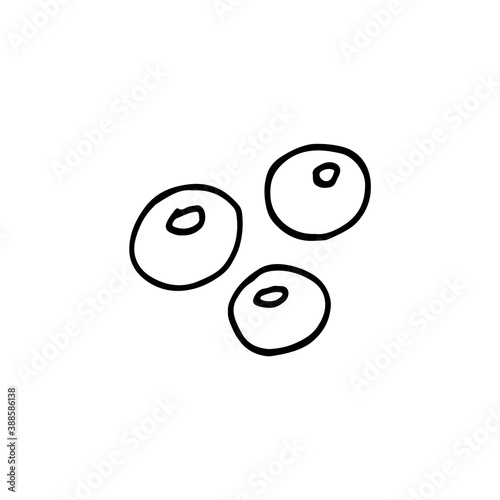 Doodle image of blueberries. Vector image of a fruit. Hand-drawn image for print, web, textile.