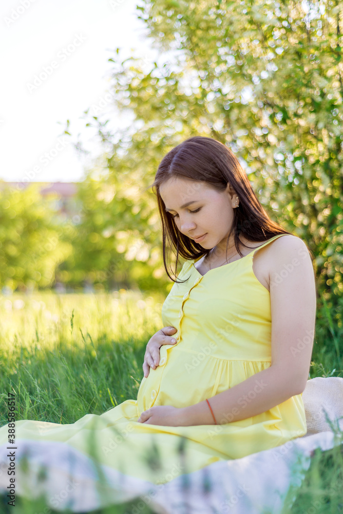 pregnant woman with big belly sitting on grass in Park pregnant woman with big belly sitting on grass in Park