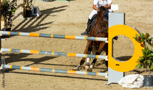 Close Up of Brown Horse refusing to Jump the Obstacle during a Horse Competition in Italy