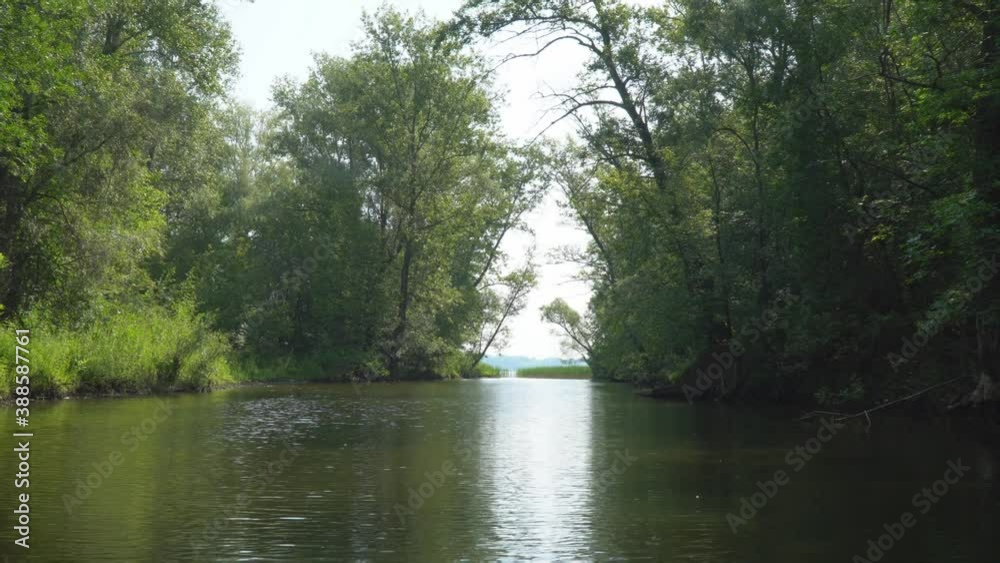 A small motor boat moves along a small river or Bayou with banks overgrown with green forest or jungle. Point of view A small motor boat moves along a small river or Bayou with banks overgrown with green forest or jungle. Point of view