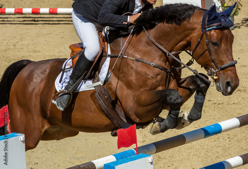 brown horse jumping the obstacle durign a five star competition in Italy