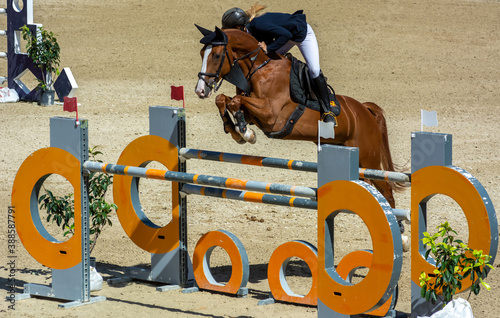 brown horse jumping the obstacle durign a five star competition in Italy photo