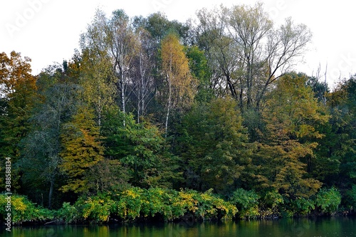 trees on the banks of the river Ostravice colored in variegated shades of autumn color palette, Northern Moravia, Czech Republic