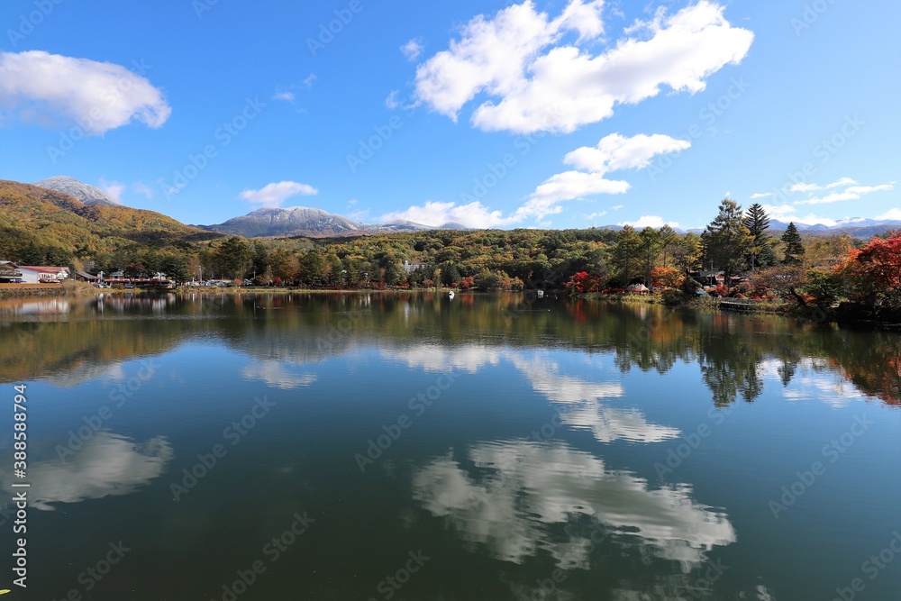 Fototapeta premium 蓼科湖 紅葉と雪景色