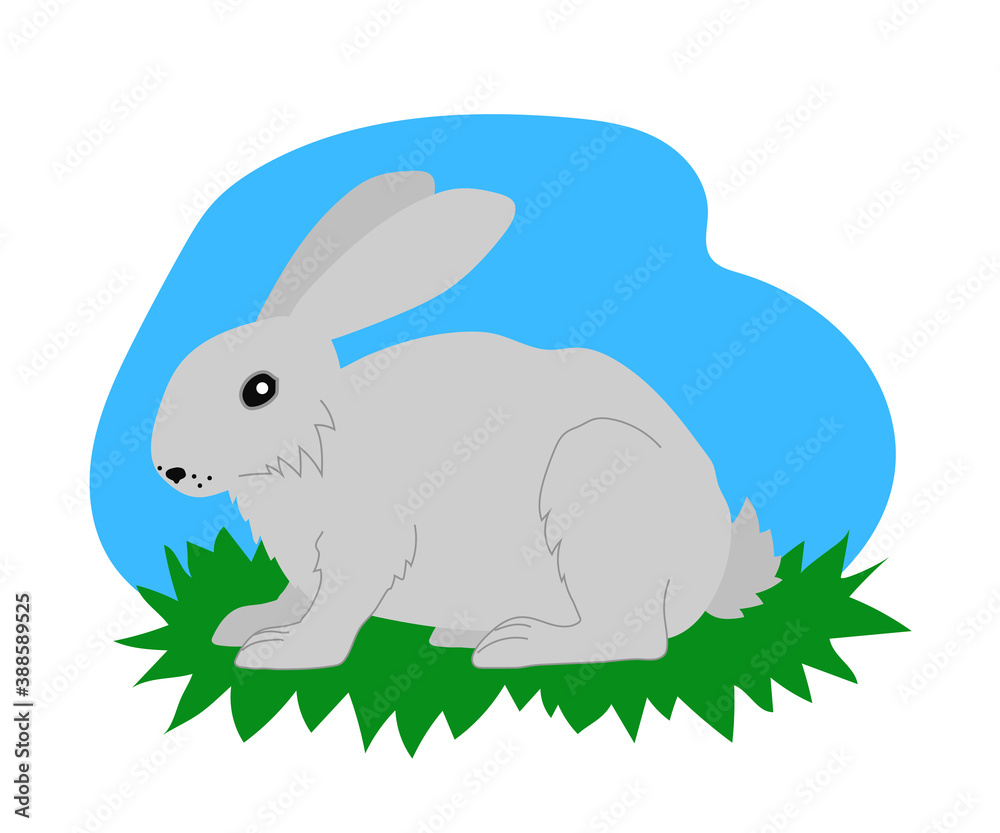 Domestic rabbit and grass on a blue background. Cartoon. Vector illustration. Domestic rabbit and grass on a blue background. Cartoon. Vector illustration.