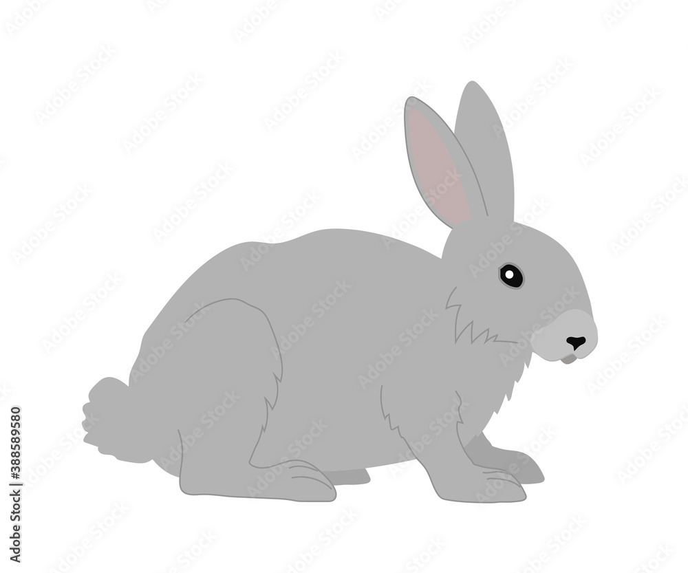 Obraz premium Rabbit on a white background. Cartoon. Vector.