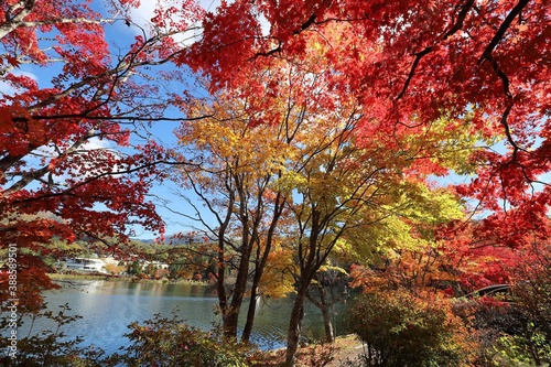 蓼科湖 紅葉と雪景色 © narautsu