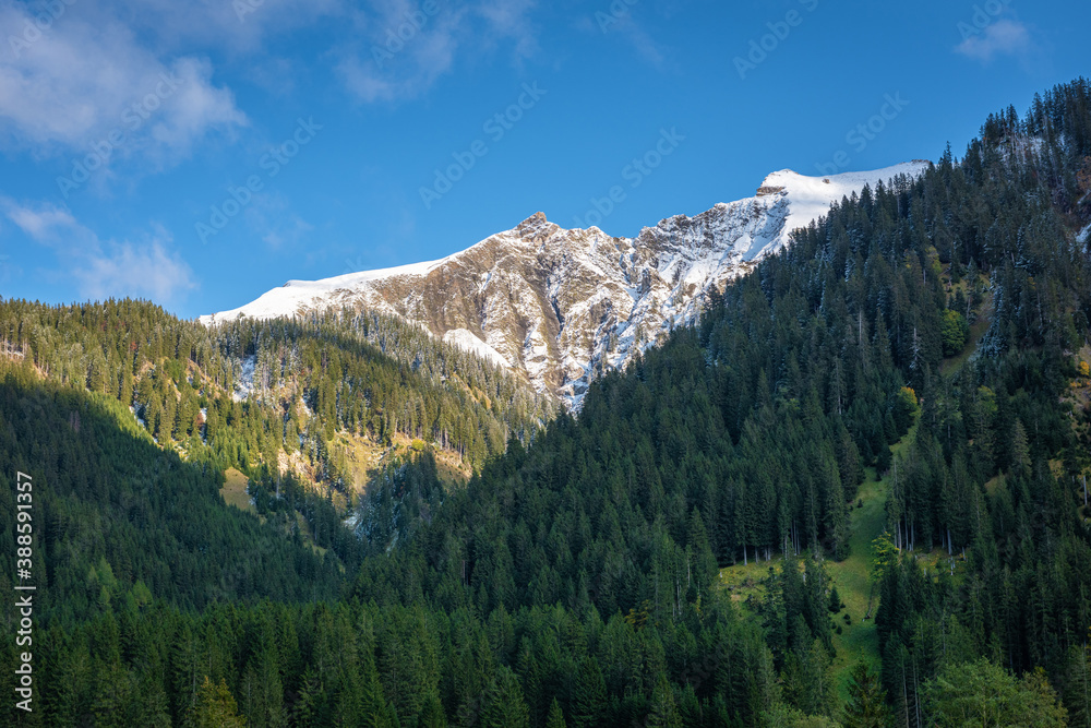 Alpine landscape with snowy peaks and forest-covered slopes