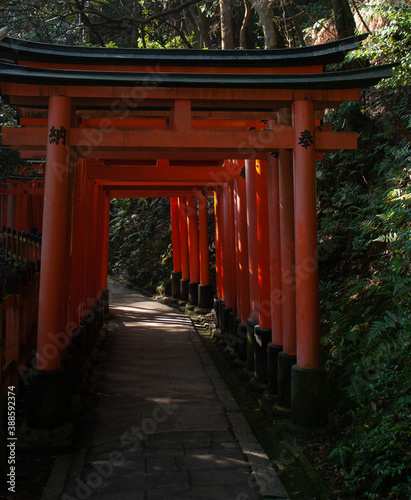 An entrance to a pathwalk in a forest with large orange Torii gates at Fushimi Inari Shrine in Kyoto in Japan