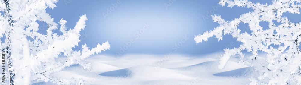 Banner with copy space branches covered with hoarfrost and drifts of snow