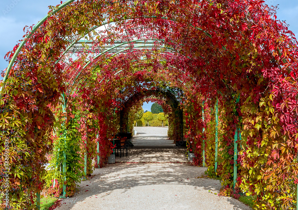 Decorative colorful arch of autumnal plants and leaves in public park