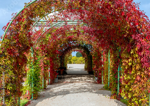 Fototapeta Naklejka Na Ścianę i Meble -  Decorative colorful arch of autumnal plants and leaves in public park