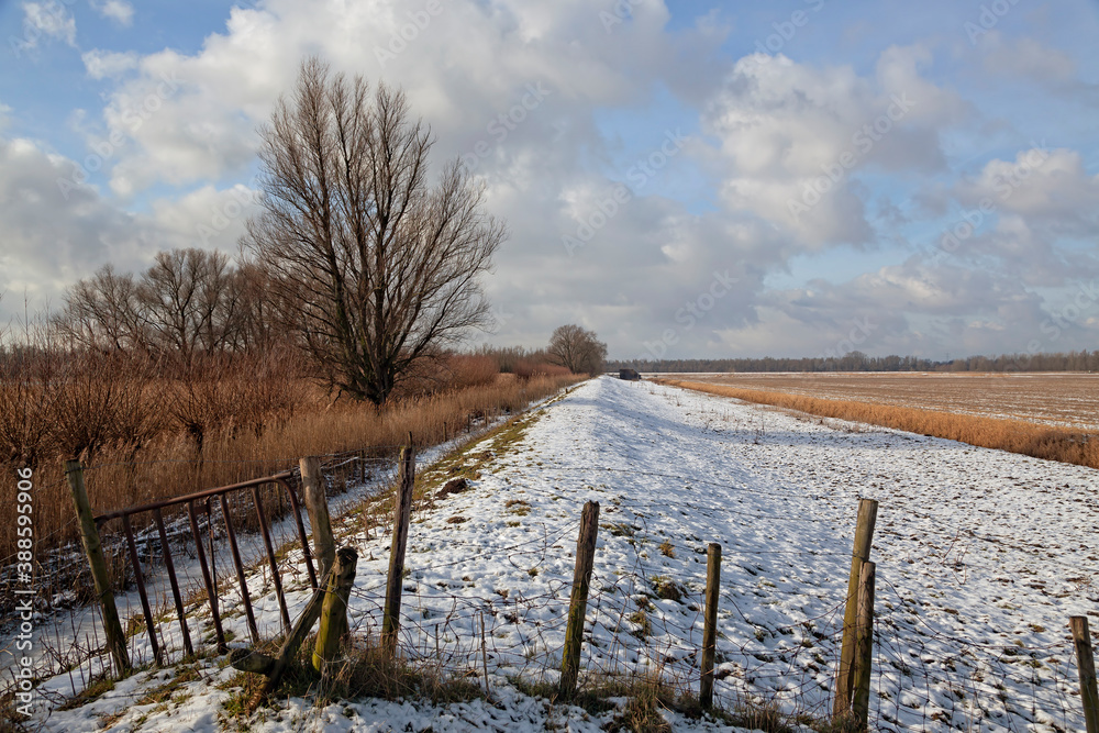 When it's winter time and all the lakes are frozen When it's winter time and all the lakes are frozen