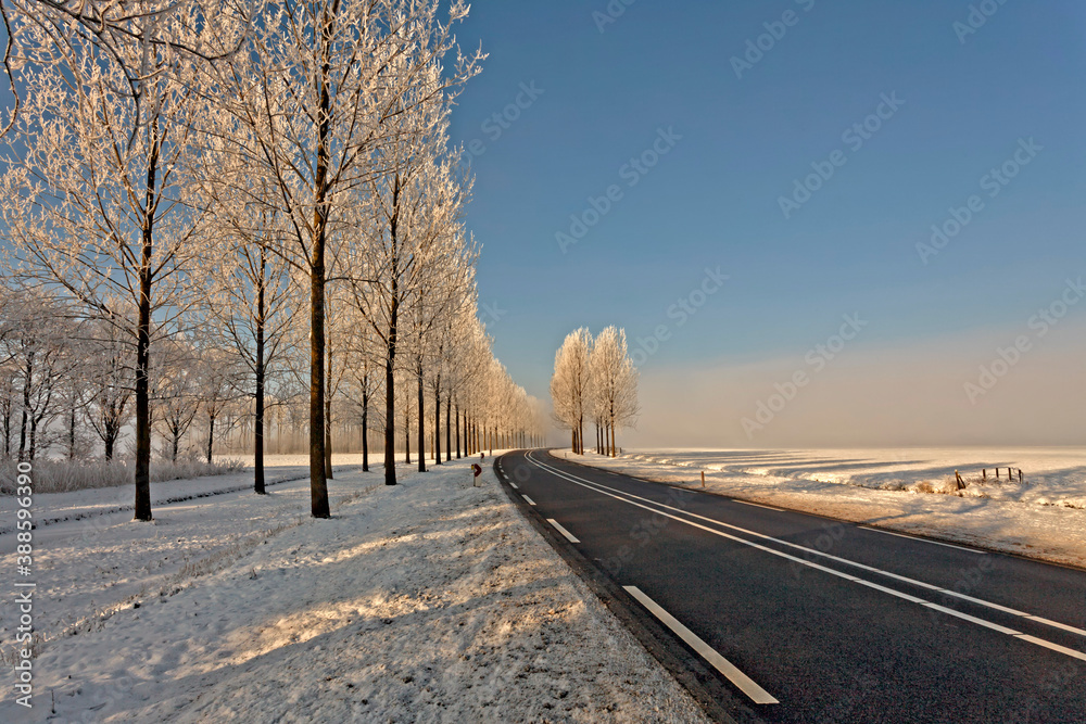 When it's winter time and all the lakes are frozen When it's winter time and all the lakes are frozen
