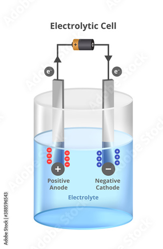 Vector scientific illustration of electrolysis process in water with an electric battery. Electrolytic cell. Negative and positive cathode and anode, anions, and cations isolated on white background.