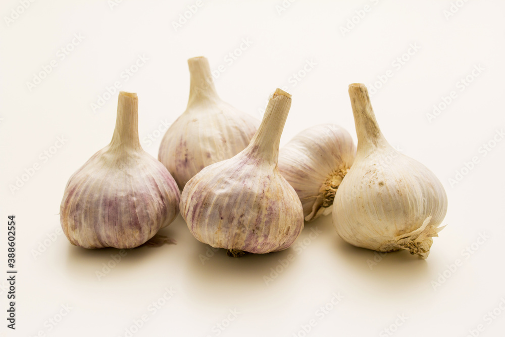 Fototapeta premium lots of Garlic On a White Background